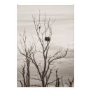 Search for birds nesting posters Wildlife
