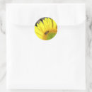 Search for bright yellow flower stickers Petals