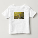 Search for aspen leaf tshirts Grove