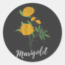 Search for marigold flowers stickers Floral