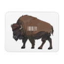 Search for bison magnets North america