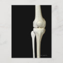 Search for bones stamps posters Front view