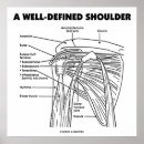Search for medical diagram posters Anatomical
