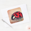 Search for ladybugs stickers Insects