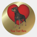 Search for rotties stickers Pet