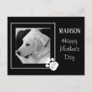 Search for cute mother postcards Dog mum