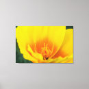 Search for stamen canvas prints Macro