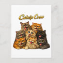 Search for catnip postcards Cats