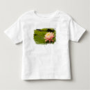 Search for drop of water clothing Nature
