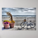 Search for hdr Scenic