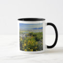 Search for utes mugs Nature