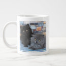 Search for baby kitten mugs Domestic animal