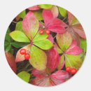 Search for mounted stickers Autumn