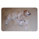 Search for easter rectangular magnets Funny