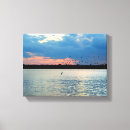 Search for migrator art Nature