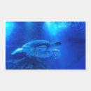 Search for turtle bookplates Blue