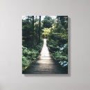 Search for boardwalk canvas prints Forest