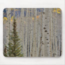Search for pass mousepads Fall
