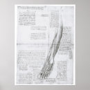 Search for leggings art Muscles