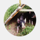 Search for piglet christmas tree decorations Farm