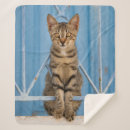 Search for tabby cat blankets Funny