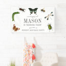 Search for dragonfly signs Butterfly