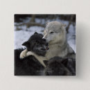 Search for wolves badges Nature