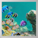 Search for marine biology posters Science