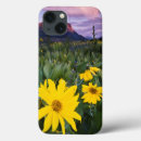 Search for sunflower ipad cases Landscape
