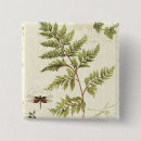 Search for ferns fern badges Decorative
