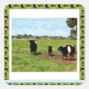 Search for generated square stickers Scottish