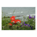 Search for st at paper posters Flower