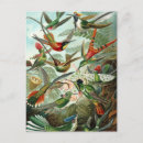 Search for ernst postcards Biology