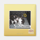 Search for innocent magnets I can has cheezburger