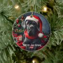 Search for cane corso christmas tree decorations Cute
