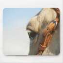Search for horse eye electronics Animal body part