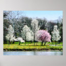 Search for tree line posters Floral