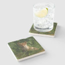 Search for fox coasters Woodland