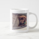Search for chocolate labrador mugs Pet