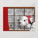Search for dalmatian christmas cards Snow