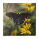 Search for springtime tiles Nature