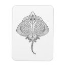 Search for rays magnets Stingray