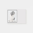 Search for bearded collie Dog