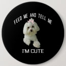 Search for poodle puppy badges Pet