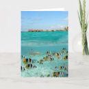 Search for polynesia cards Pacific