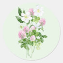 Search for cute clover stickers Watercolor