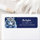 Search for tigers return address labels Big cats