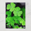 Search for march 17th cards Clover