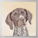 Search for german shorthaired pointer posters Dog
