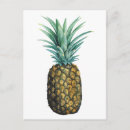 Search for ananas postcards Watercolor